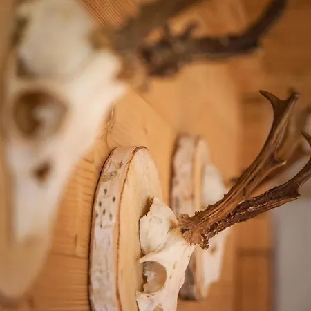 Alpenzauber Montafon *